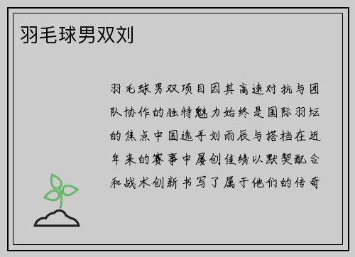 羽毛球男双刘