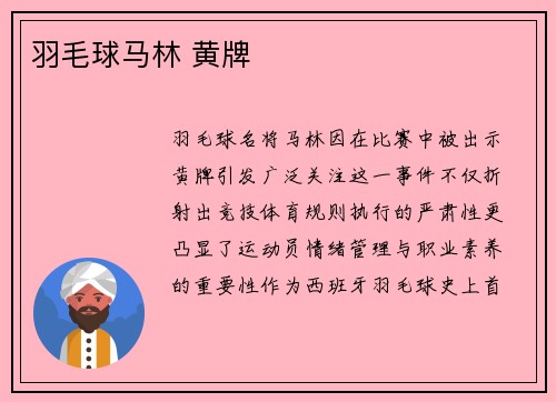 羽毛球马林 黄牌
